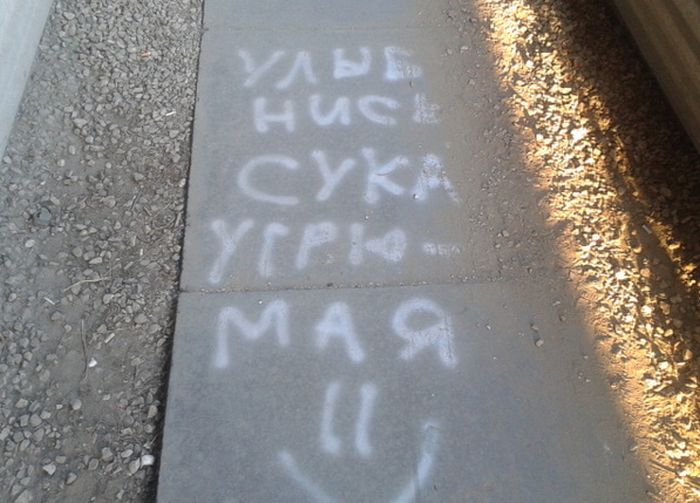 Забавные картинки