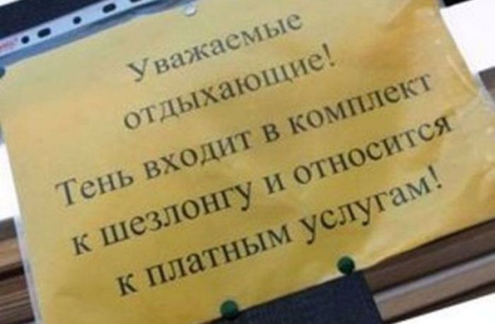 Забавные картинки