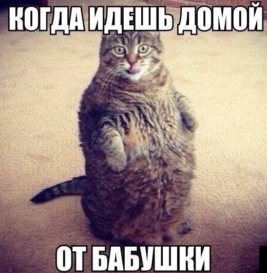 Прикольные картинки (88 фото)
