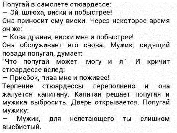 Прикольные картинки (88 фото)