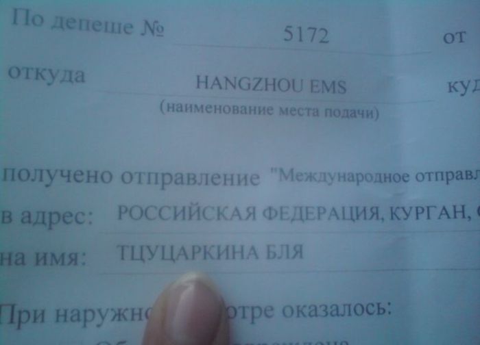 Прикольные картинки (88 фото)