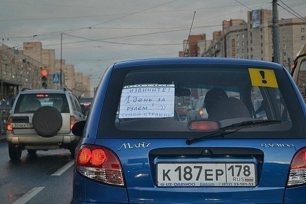 Прикольные картинки (88 фото)