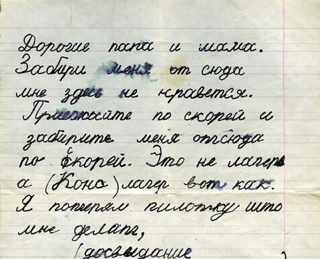 Прикольные картинки (88 фото)