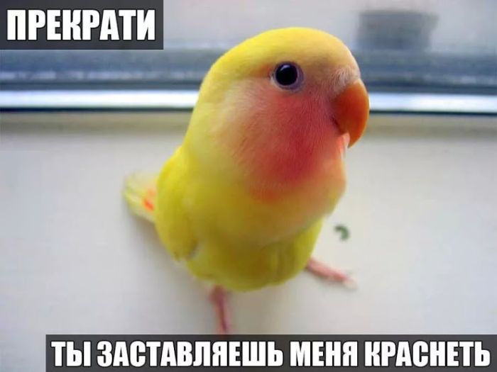 Прикольные картинки (88 фото)