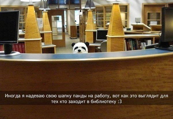 Прикольные картинки (88 фото)
