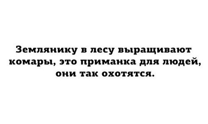 Прикольные картинки (88 фото)