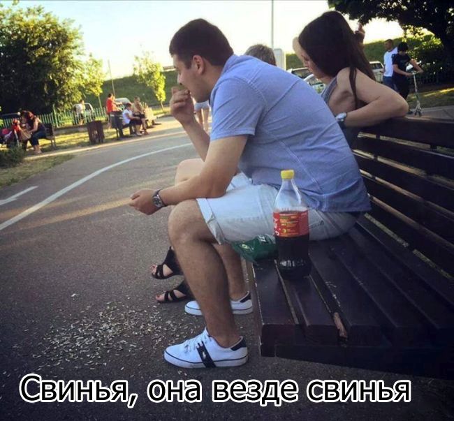 Прикольные картинки (88 фото)