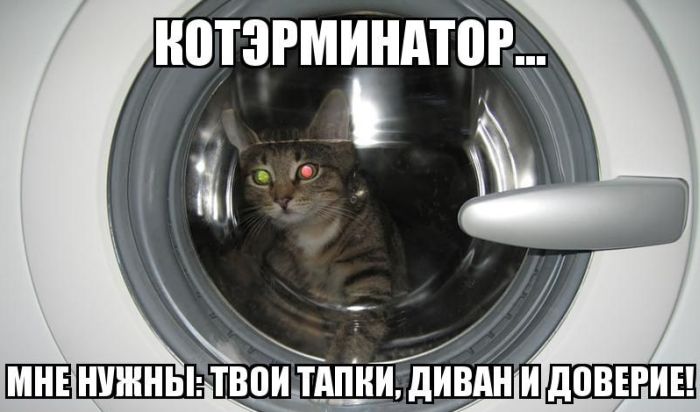 Прикольные картинки (88 фото)