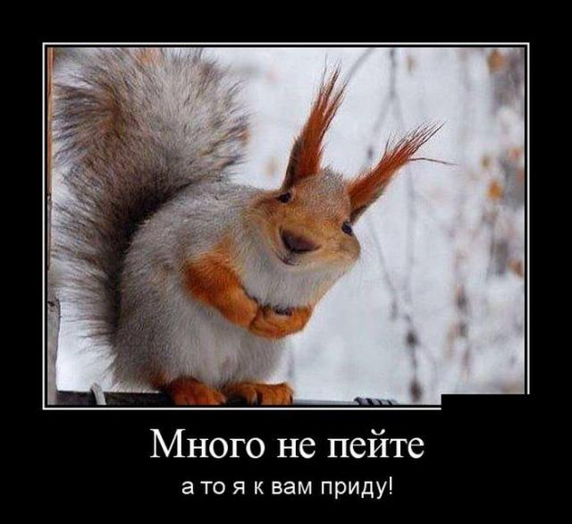 Демотиваторы (30 фото)