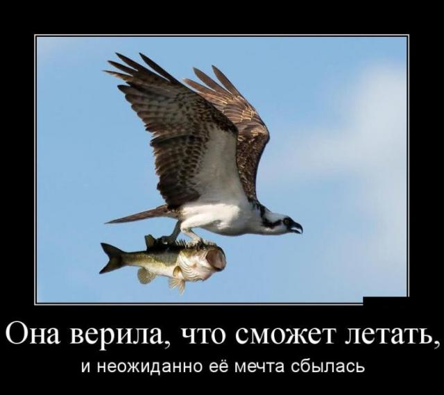 Демотиваторы (30 фото)