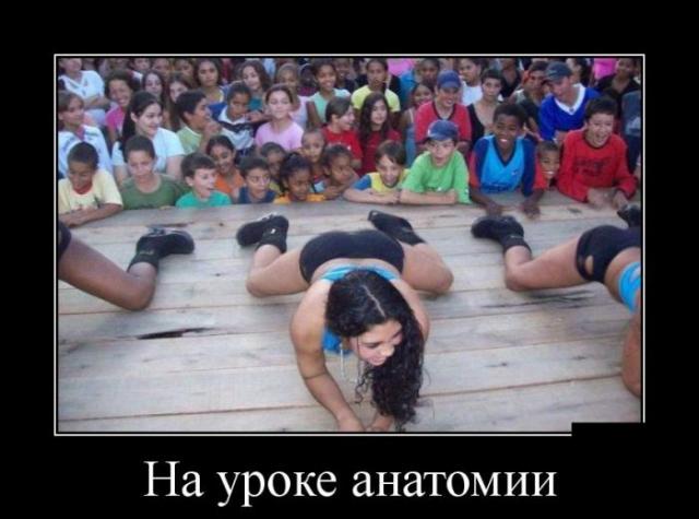 Демотиваторы (30 фото)
