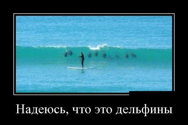 Демотиваторы (30 фото)