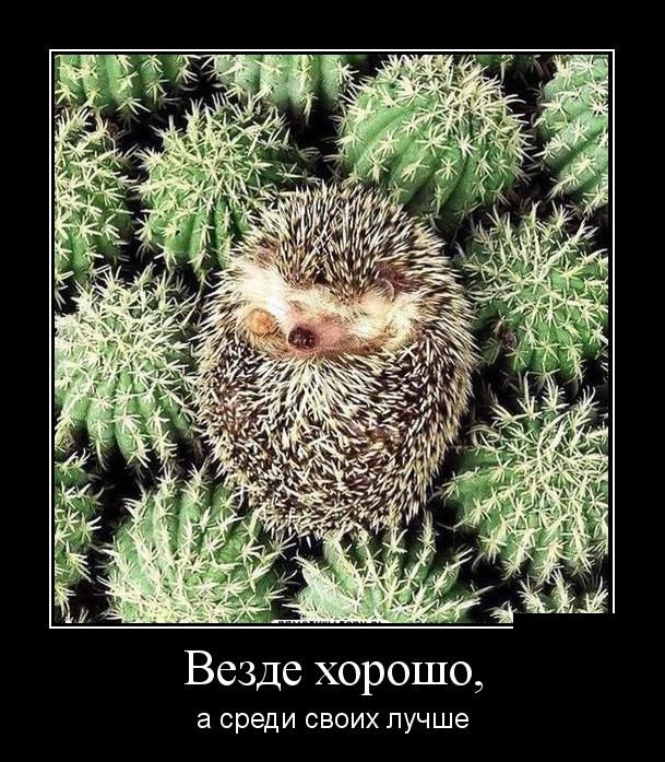 Демотиваторы (30 фото)