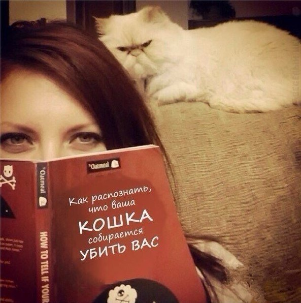 Забавные картинки