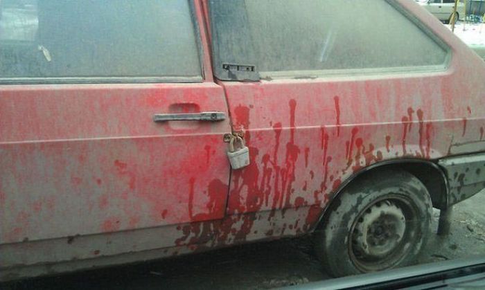 Забавные картинки
