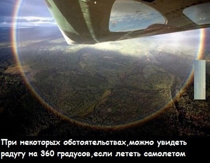 Прикольные картинки (97 фото)