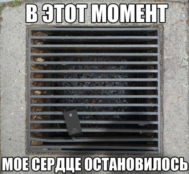 Прикольные картинки (97 фото)