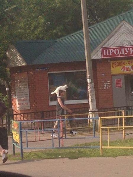 Прикольные картинки (97 фото)