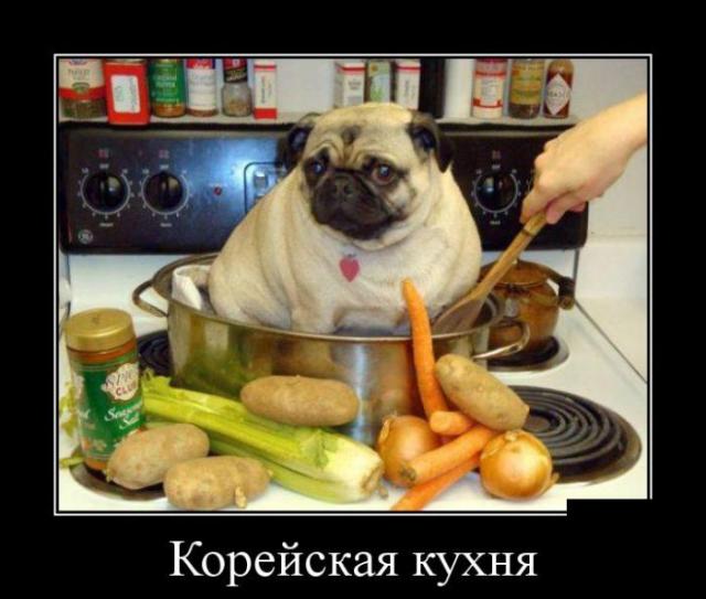 Демотиваторы (30 фото)