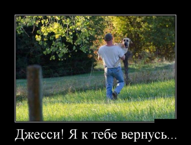 Демотиваторы (30 фото)