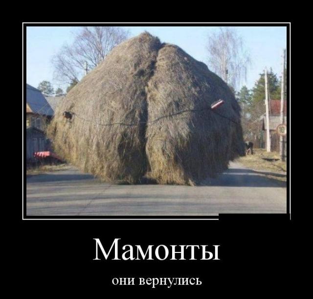 Демотиваторы (30 фото)