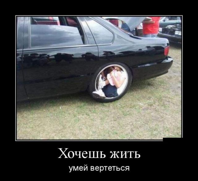 Демотиваторы (30 фото)
