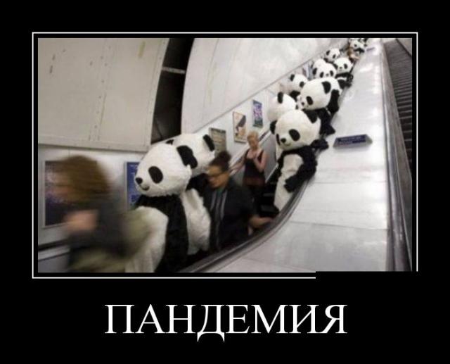 Демотиваторы (30 фото)