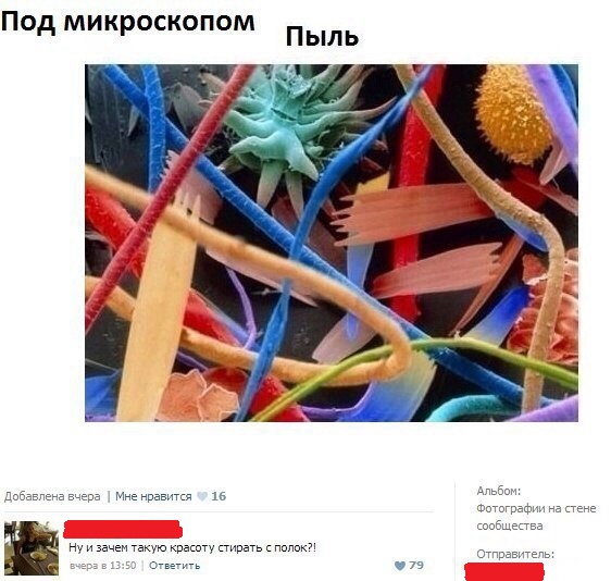 Забавные картинки