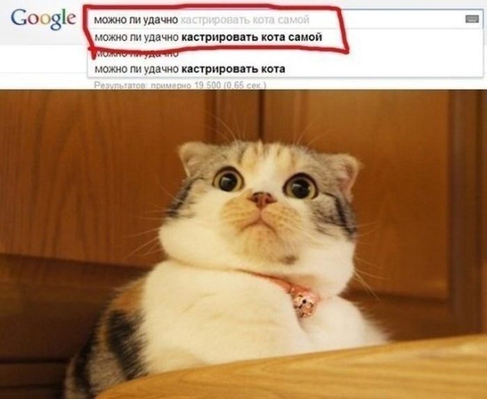 Забавные картинки
