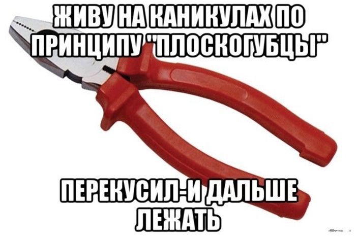 Прикольные картинки (96 фото)