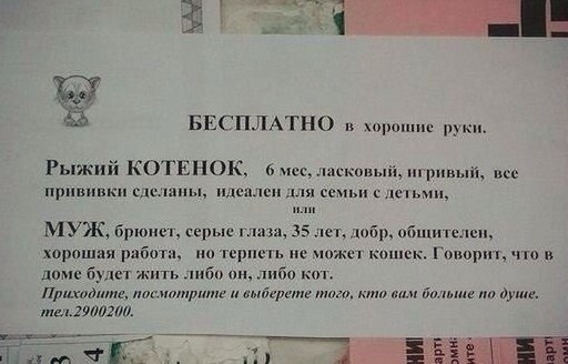 Прикольные картинки (96 фото)