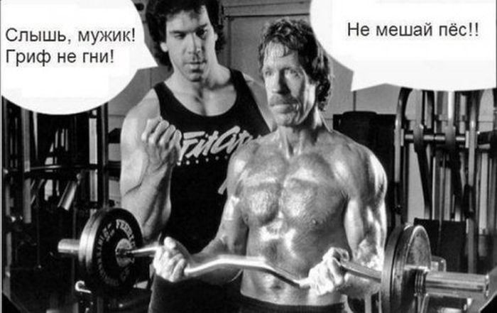 Прикольные картинки (96 фото)