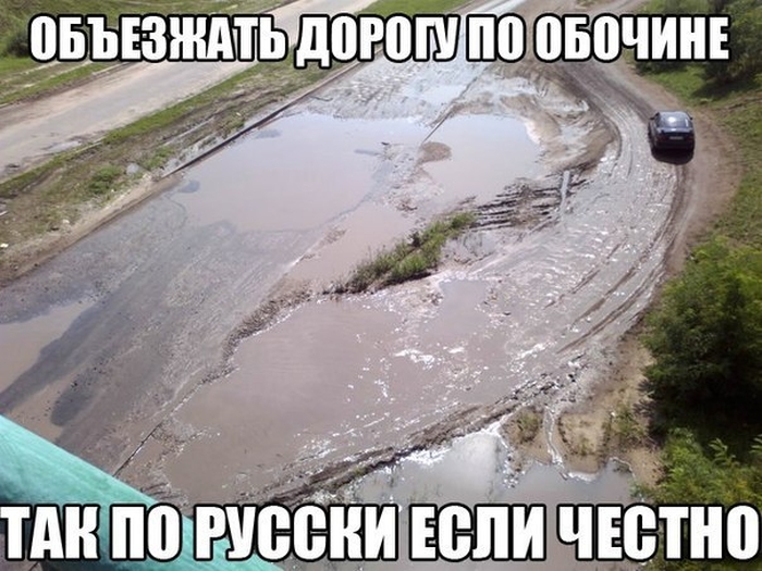 Прикольные картинки (96 фото)