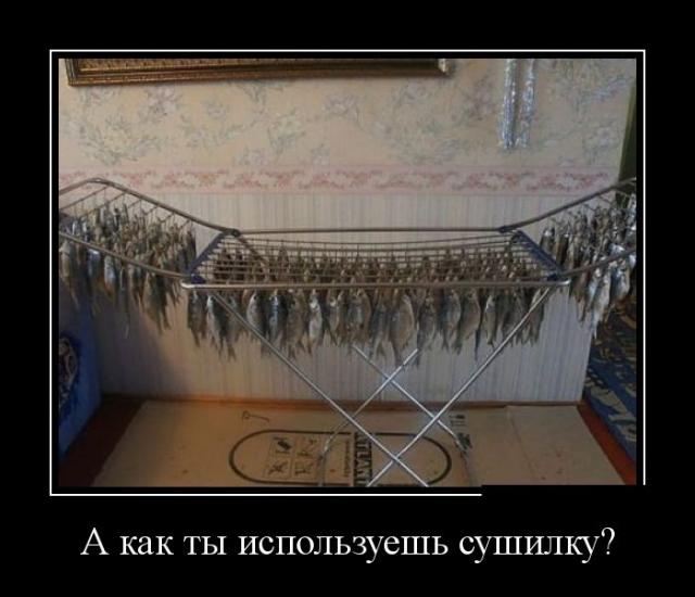 Демотиваторы (30 фото)