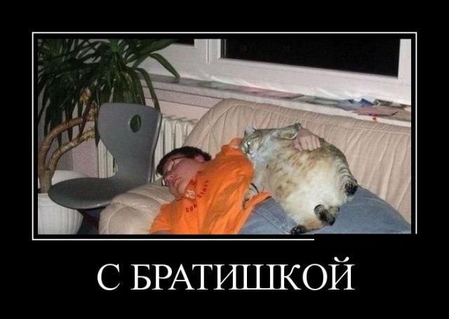 Демотиваторы (30 фото)