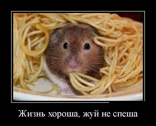 Демотиваторы (30 фото)