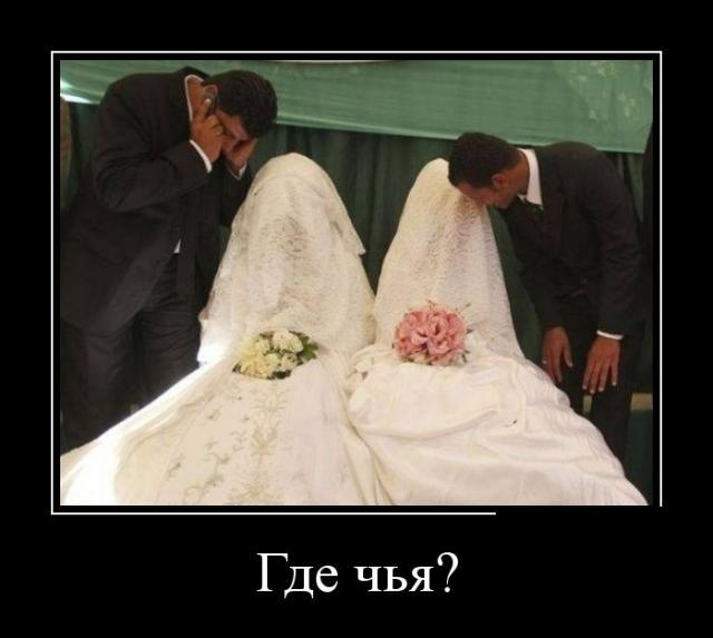 Демотиваторы (30 фото)