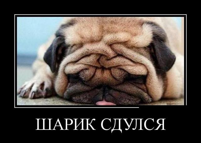 Демотиваторы (30 фото)