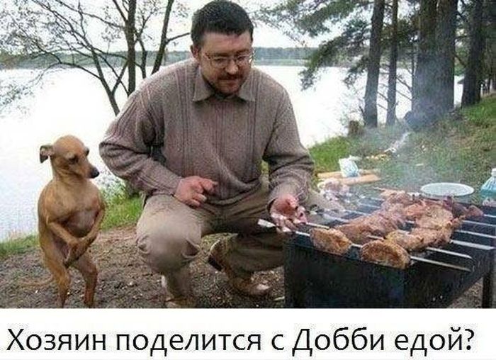 Забавные картинки