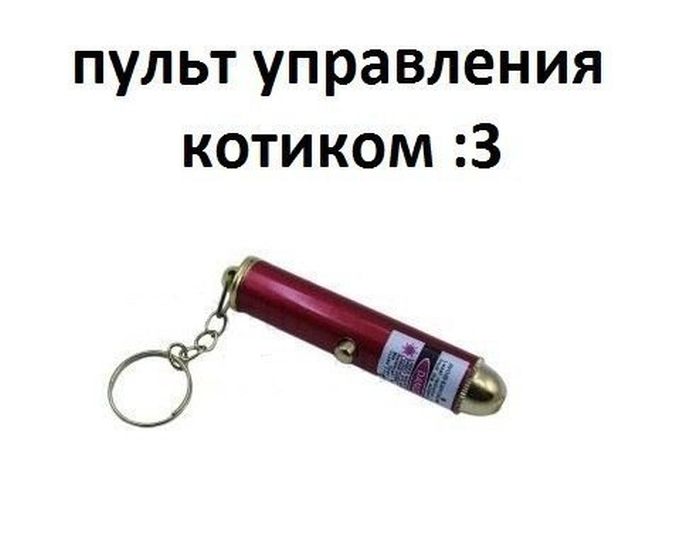 Прикольные картинки (80 фото)