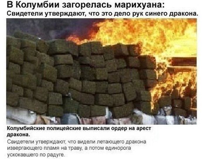Прикольные картинки (80 фото)