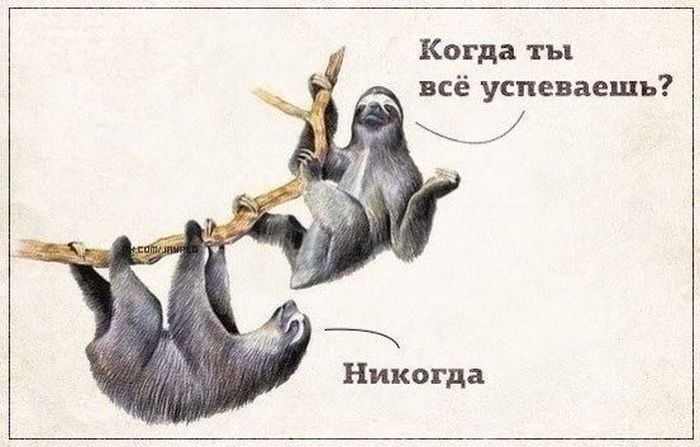 Прикольные картинки (80 фото)