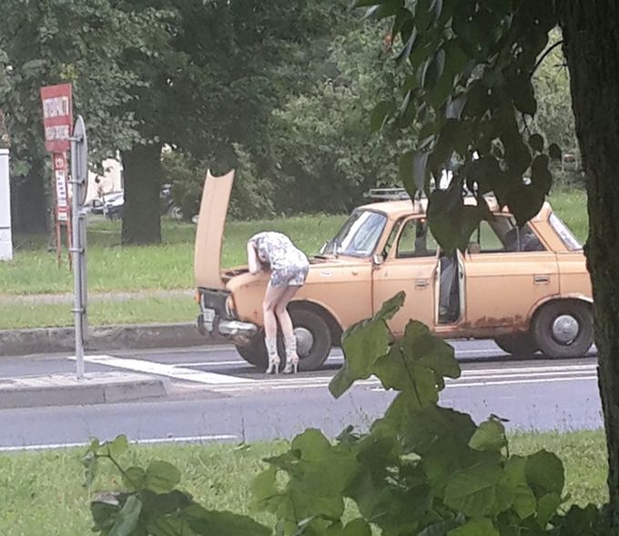 Прикольные картинки (80 фото)