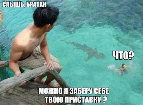 Прикольные картинки (80 фото)