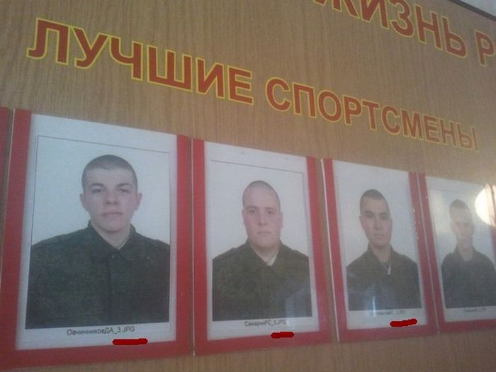 Прикольные картинки (102 фото)