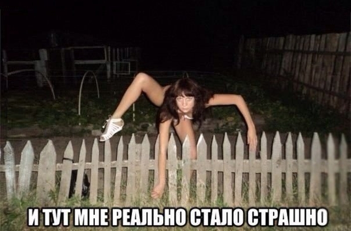 Прикольные картинки (102 фото)