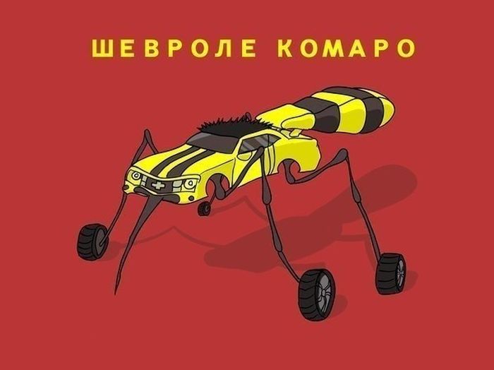 Прикольные картинки (102 фото)