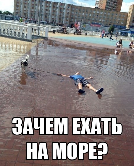 Прикольные картинки (102 фото)