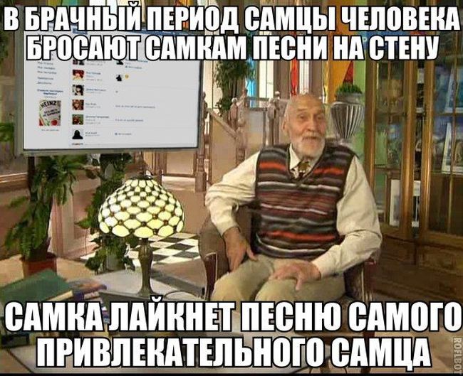 Прикольные картинки (102 фото)