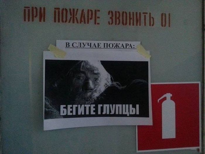 Прикольные картинки (102 фото)